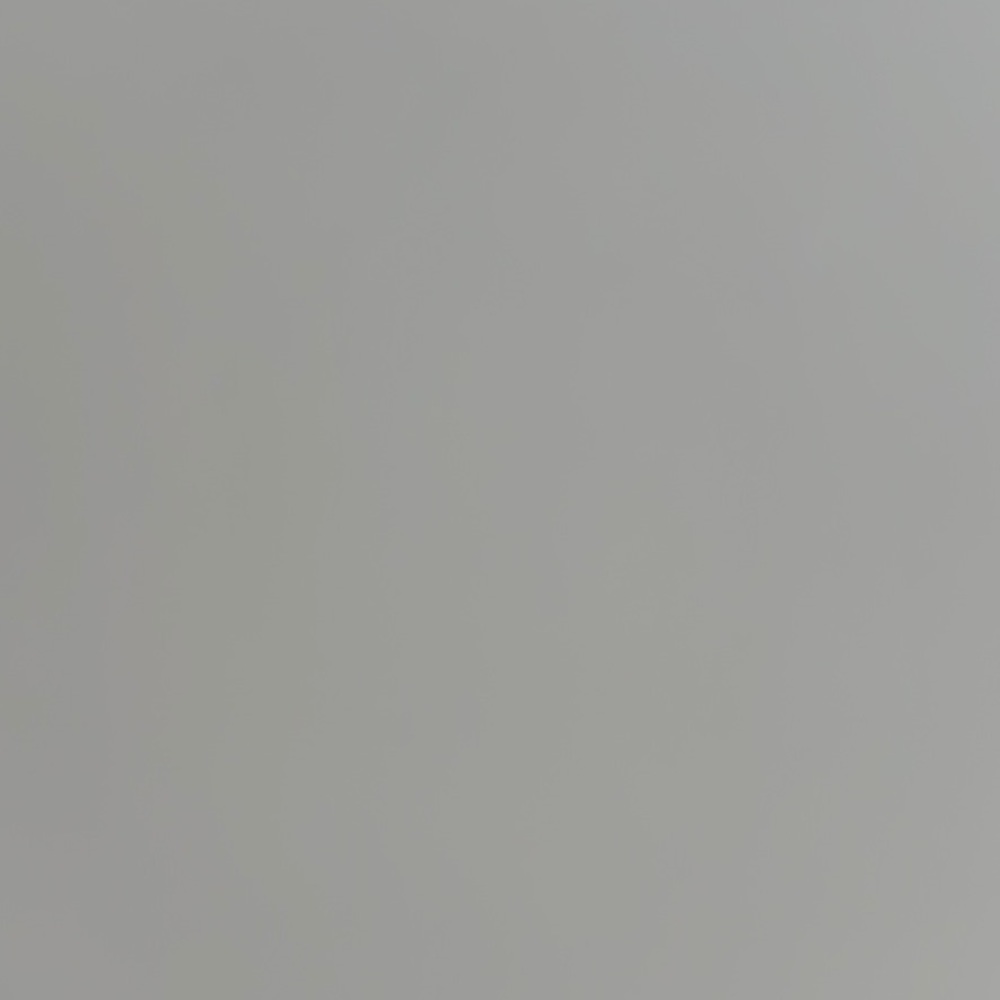 Meet your Posher, Saylor